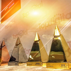 TopDigital金奖